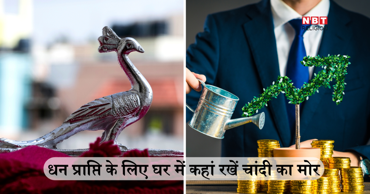 चांदी का मोर घर की इन 5 जगहों पर रखने से सोने की तरह चमक उठेगी किस्मत, एक के बाद एक खुलते जाएंगे लक्ष्मी प्राप्ति के द्वार