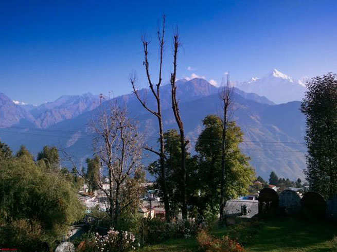 उत्तराखंड के कुमाऊं में इस तरह मनाया जाता है बैसाखी, जानिए इन परंपराओं के बारे में