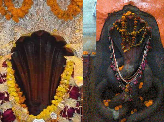 नागपंचमी पर इस मंदिर में आकर करें दर्शन, दूर होगा कालसर्प दोष
