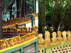 इस मंदिर में हैं 30 हजार सांप, अद्भुत नजारा