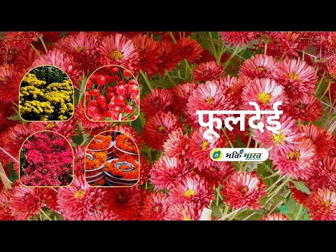 फूल देई, छम्मा देई - गीत (Phool Dei, Chamma Dei Geet)